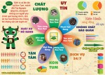 [Infographic] Giới thiệu tổng quan Sâm Tươi Ngọc Linh