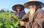 Cụ Lê Sẻ (91 tuổi) và cụ bà Nguyễn Thị Lợi (84 tuổi) có thâm niên hơn 70 năm trồng rau sạch