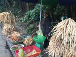 Một điểm bán “sâm núi”, nấm rừng dọc đường Hồ Chí Minh đoạn qua Quảng Nam - Ảnh: Tấn Vũ