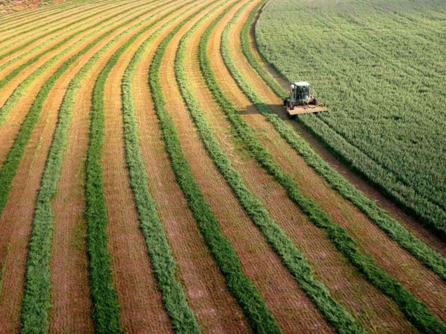 nông nghiệp israel