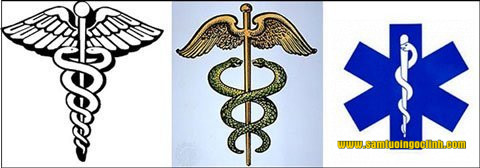 Tại sao biểu tượng ngành Y là rắn
