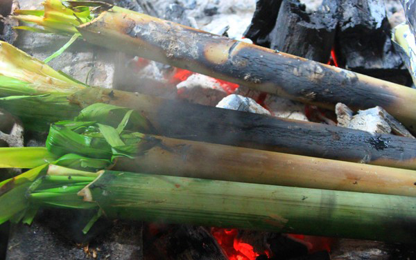 Đặc sản núi rừng Tây Nguyên: Bò nướng ống tre