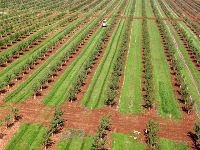 Chìa khóa thành công nông nghiệp Israel