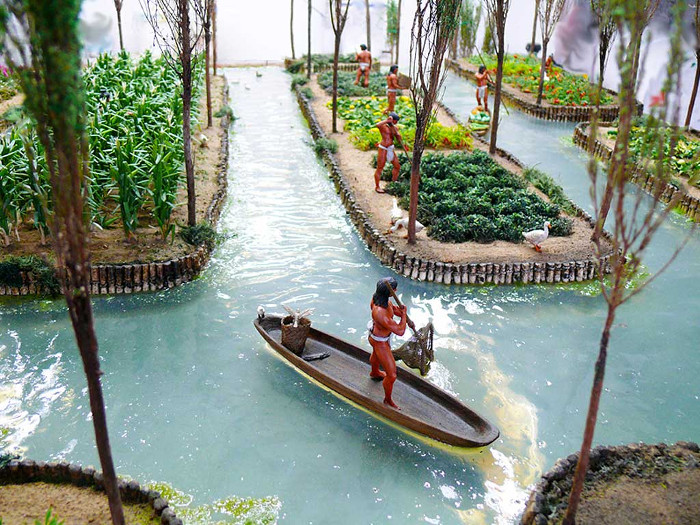 Một khu vườn chinampa có dạng hình chữ nhật được xây dựng trên lòng hồ sình lầy