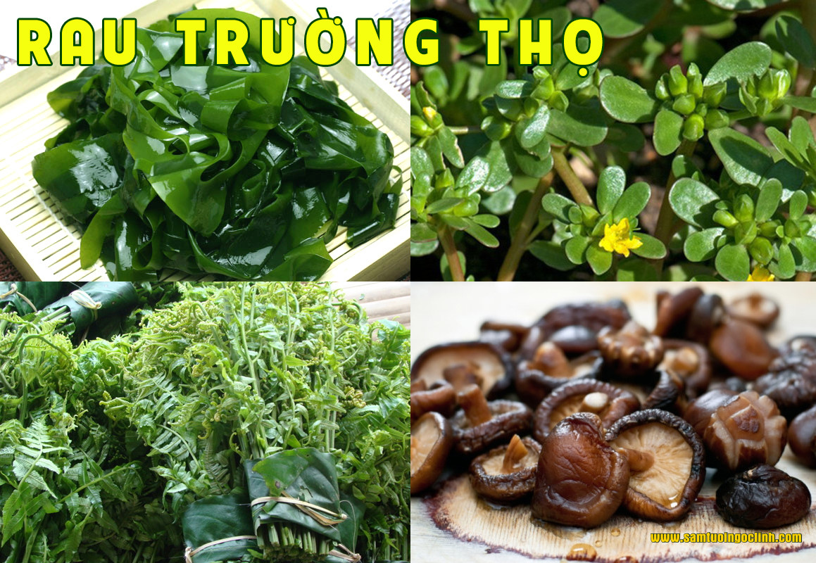 Những loại rau trường thọ Thế Giới dùng nhiều, Việt Nam ít ai dùng