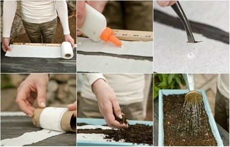 Hướng dẫn dùng giấy vệ sinh để gieo hạt trồng cây đơn giản tại nhà